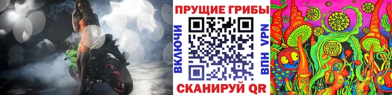 Псилоцибиновые грибы прущие грибы  Менделеевск 