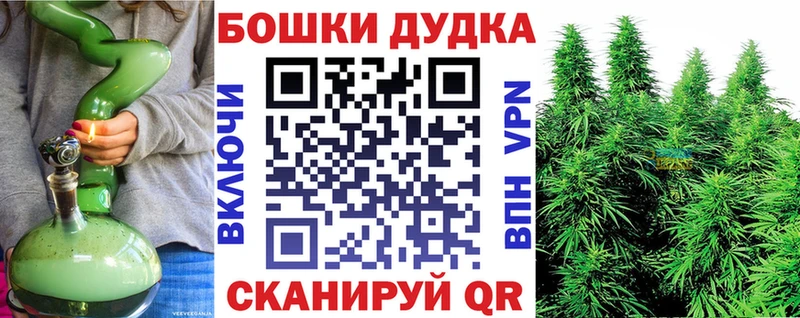 Бошки марихуана ГИДРОПОН  Менделеевск 